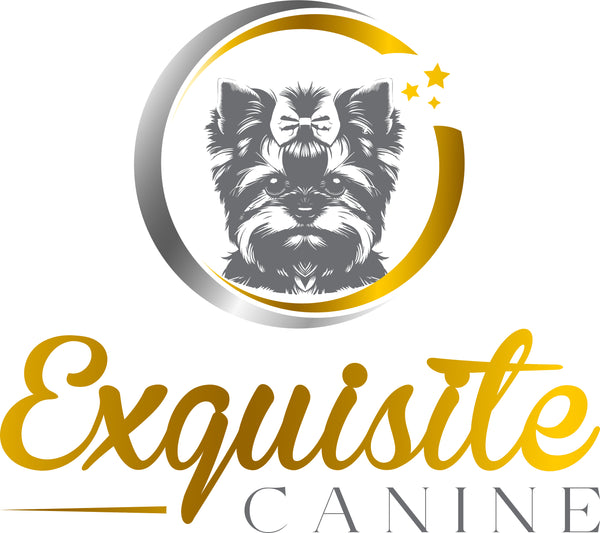 Exquisite Canine